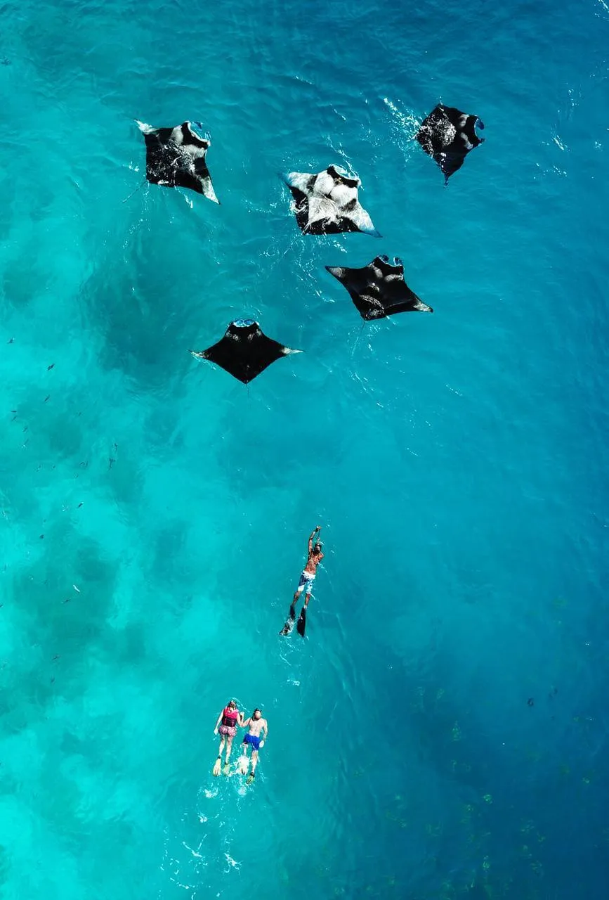 Snorkel & Explore Combo - 7