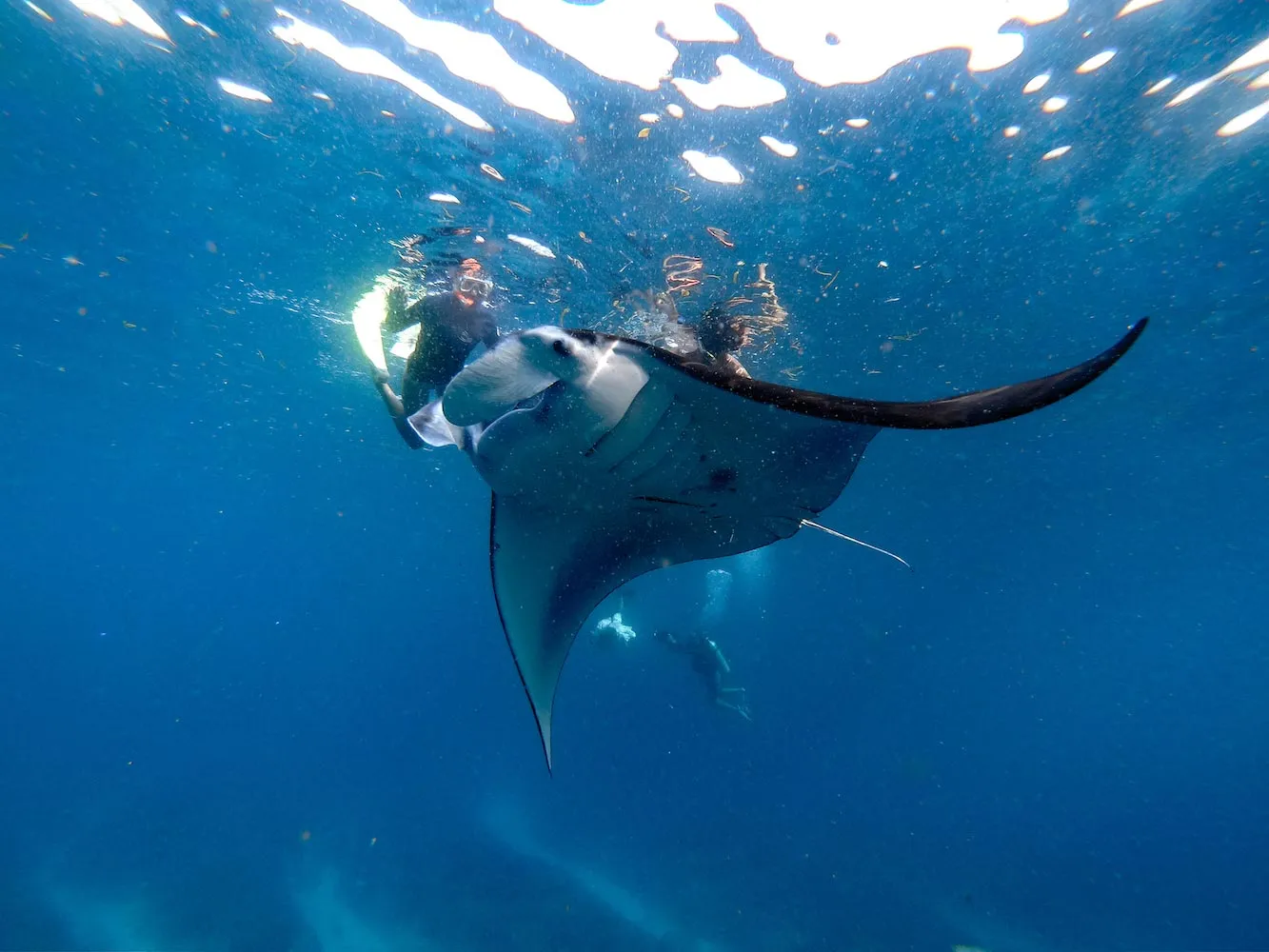 Snorkel & Explore Combo - 9