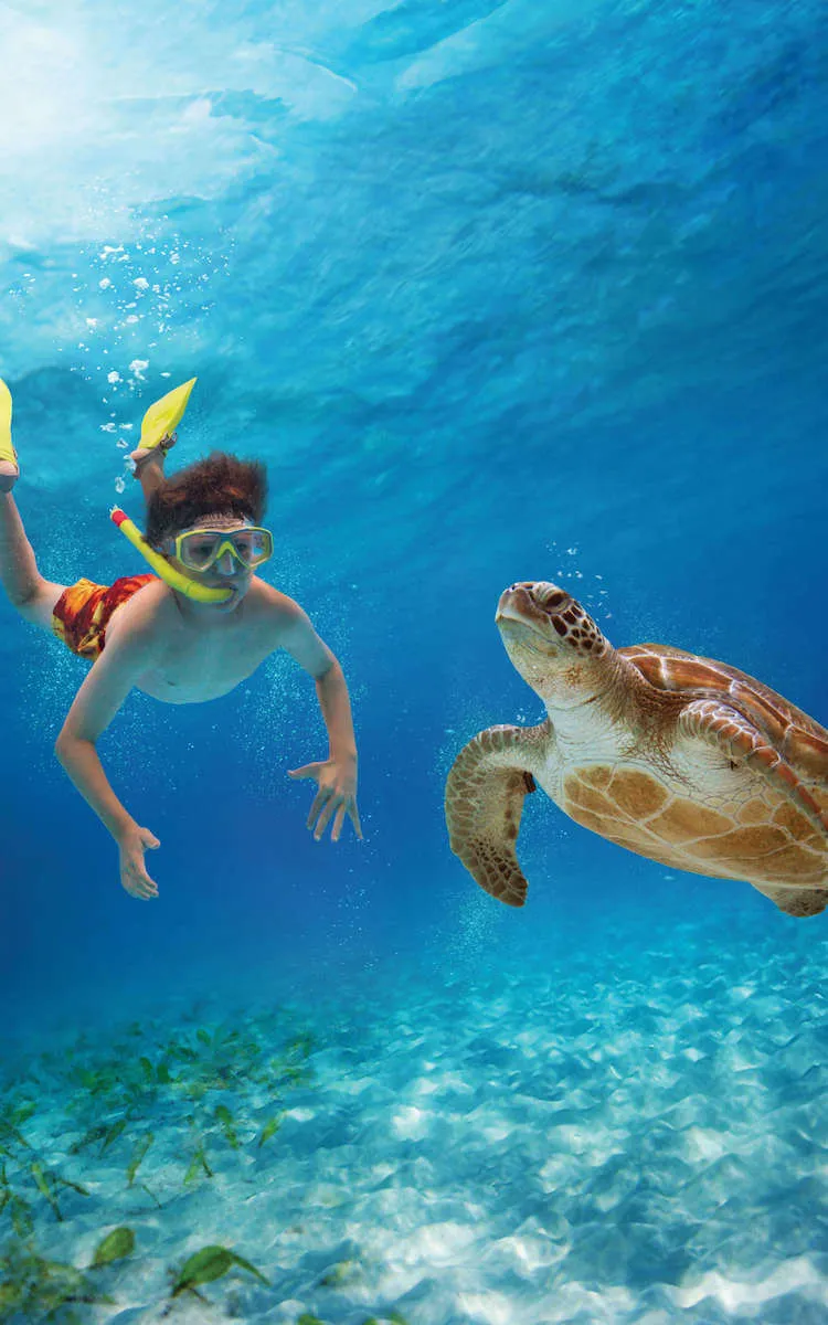 Snorkel & Explore Combo - 5